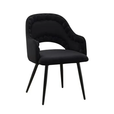 Luxurious Interior Dining Chair
